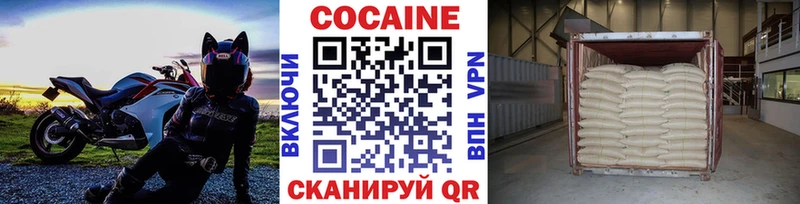 Кокаин Fish Scale  ссылка на мегу ссылки  Гатчина  цена наркотик 