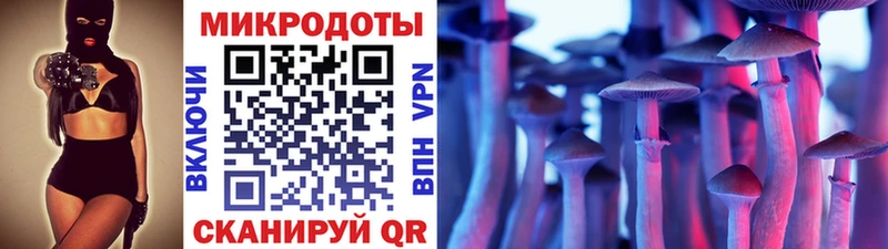Псилоцибиновые грибы Cubensis  Гатчина 