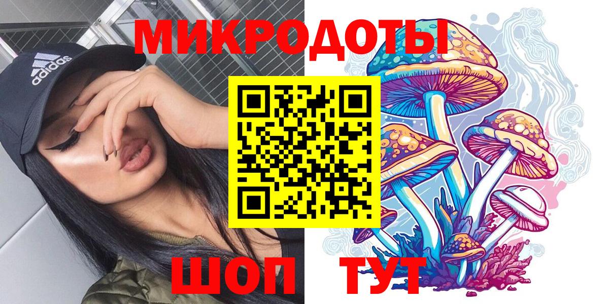 Галлюциногенные грибы Psilocybe Гатчина
