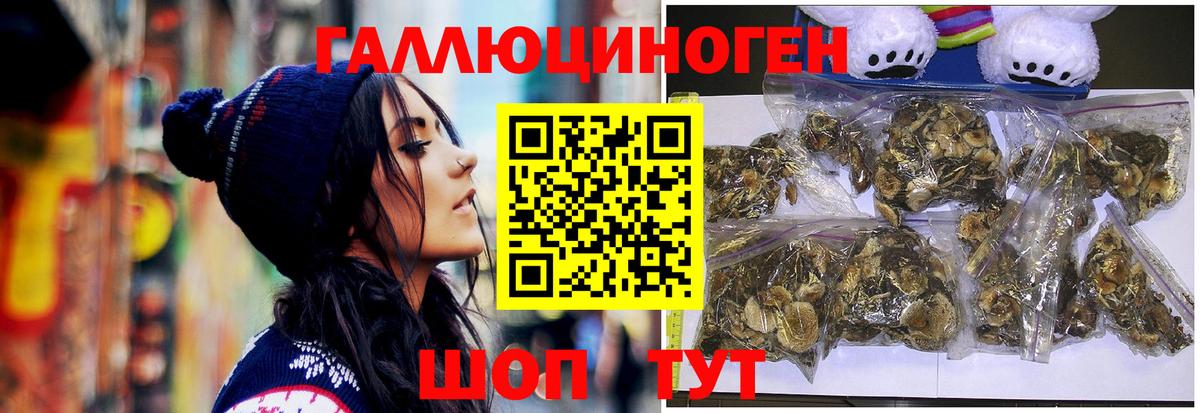 Псилоцибиновые грибы ЛСД  Псилоцибиновые грибы мицелий  Гатчина 