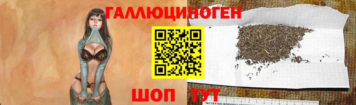 сколько стоит  Псилоцибиновые грибы прущие грибы  Вход с VPN  Гатчина 