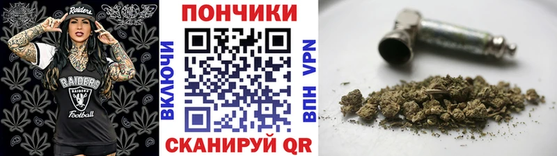 Канабис Bruce Banner  продажа наркотиков  дарк нет телеграм  Гатчина 